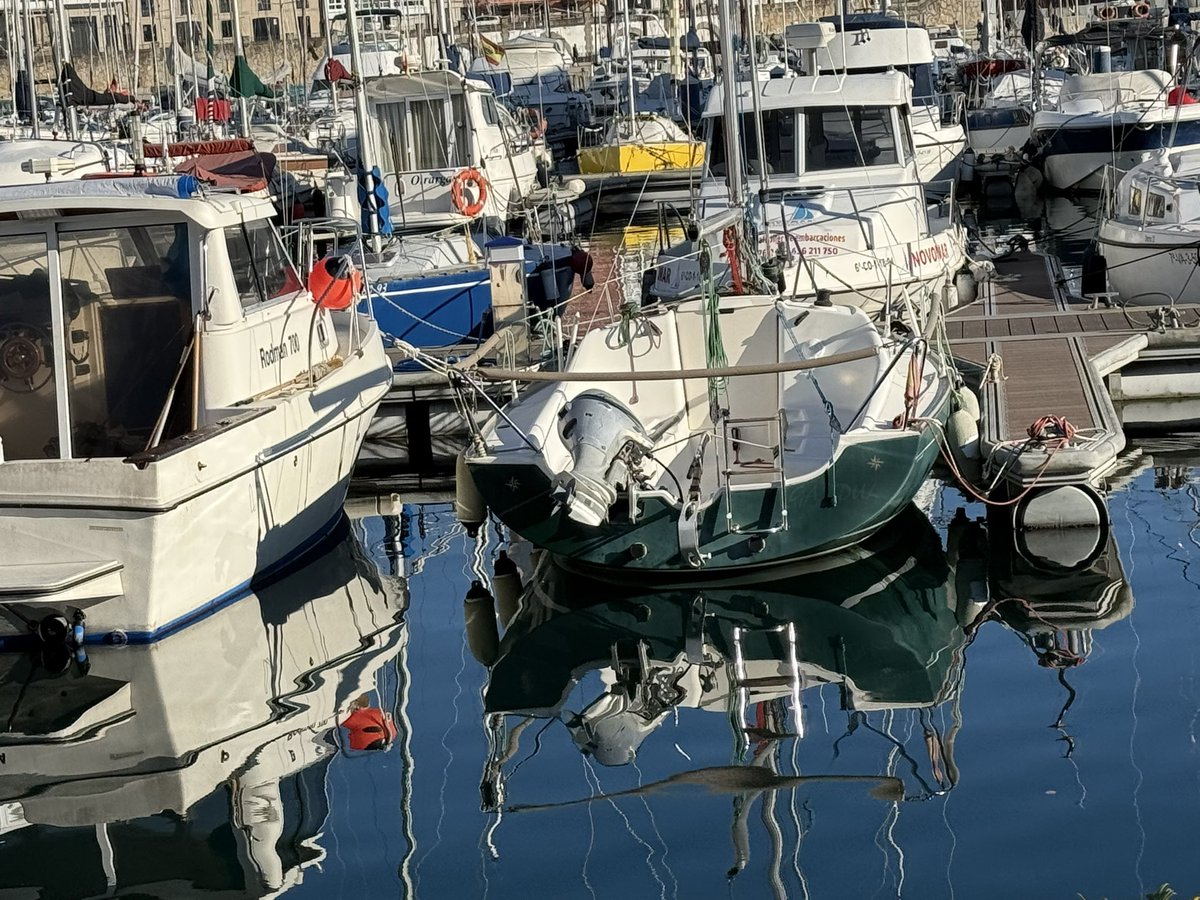 Nieves Abarca 🦇 tweet media