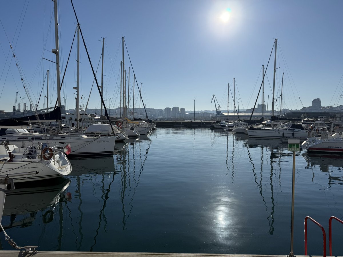 Nieves Abarca 🦇 tweet media