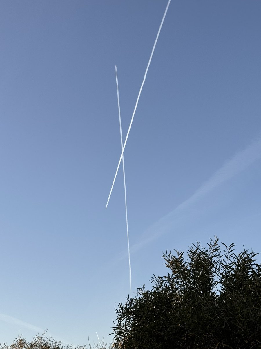 Söyleyin bakalım sepetinizden kaç X bekliyorsunuz..?