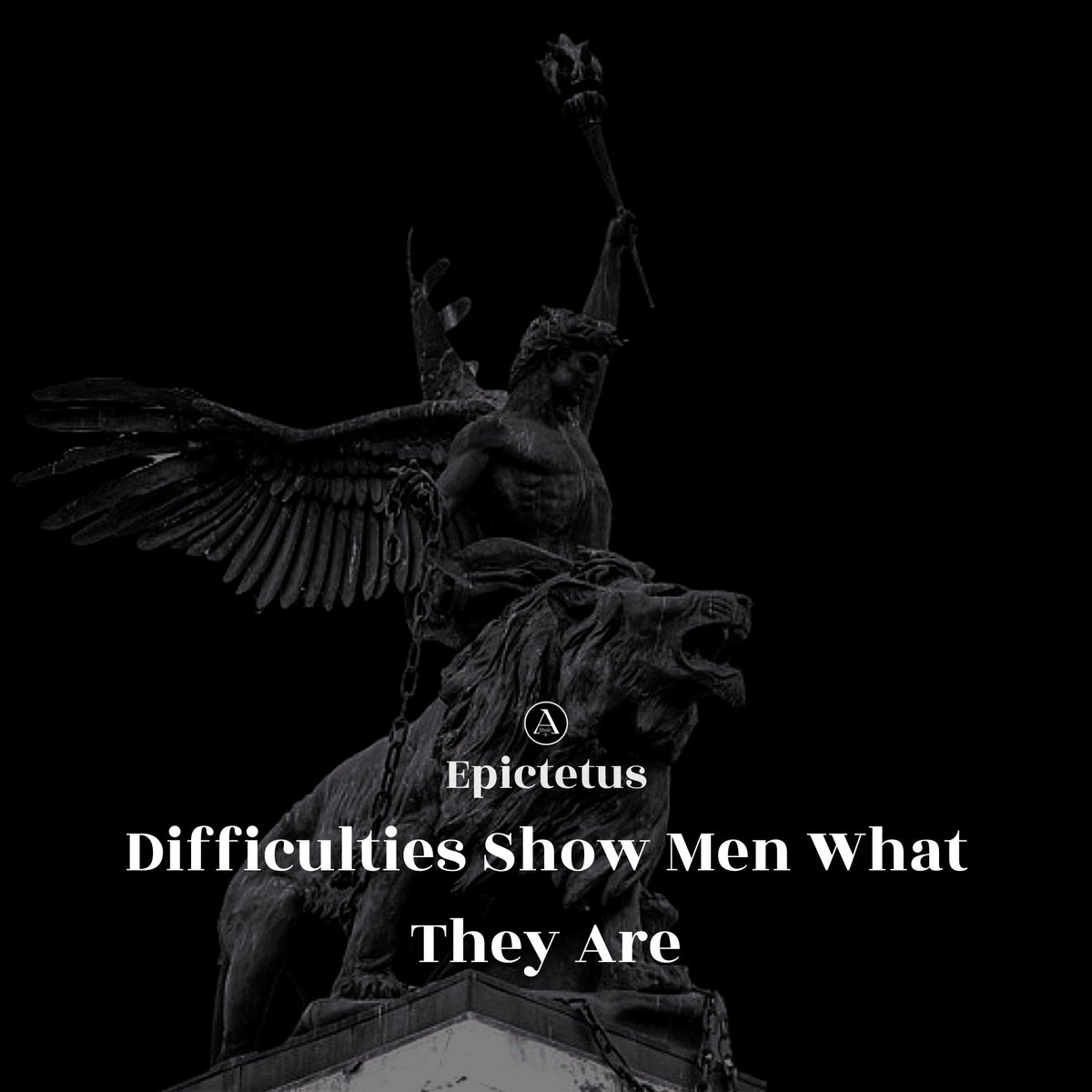 Stoic 🏔️ (@astoic10) on Twitter photo 