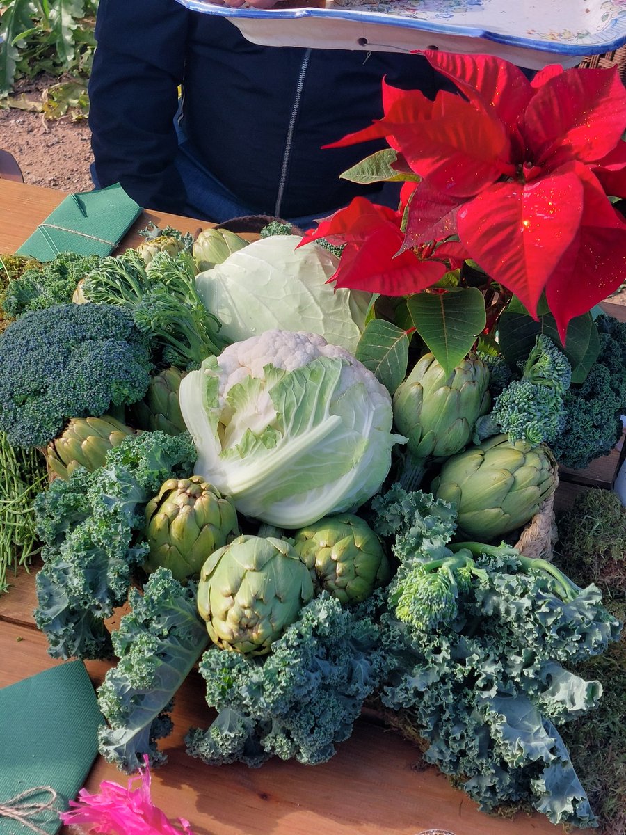 Esta mañana hemos estado en el rodaje de "Cricket, una gran familia", un proyecto muy especial para <a href="/somoscricket/">Cricket</a>, que celebra esos vínculos únicos que compartimos cada día. 🎥

Pronto os mostraremos el resultado. 

¡Estamos deseando que lo veáis! 💚