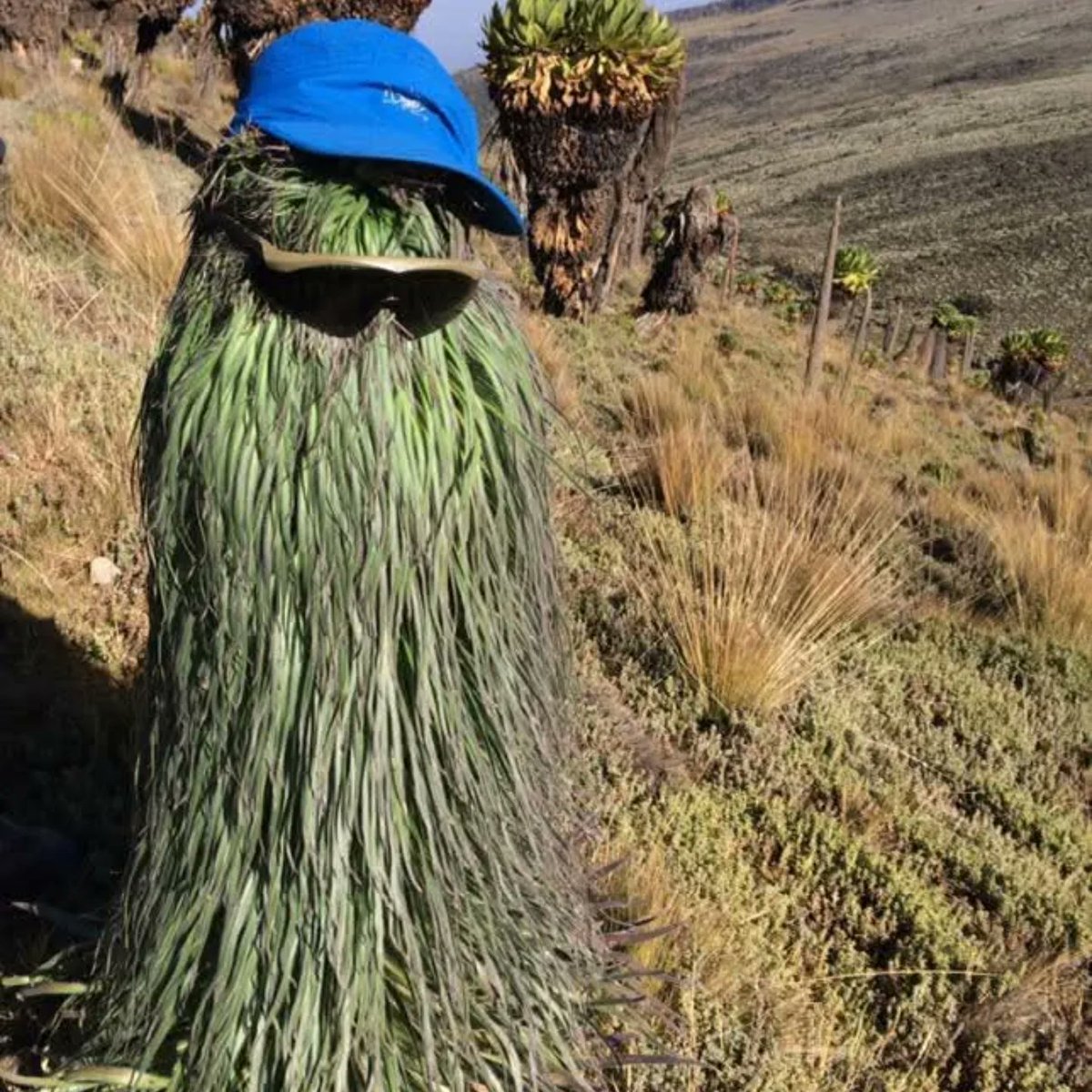 Alexander_R_Kay's tweet photo. MT. KENYA CLIMBING EXPEDITION || Into the Gates of Mist...

Juls &amp; I travel to Kenya soon, to  climb to the true summit of Mt. Kenya -Batian (5199m)- via the 20-pitch South-East Ridge of Nelion &amp; a crossing of the Gates of Mist.

@Alexander_R_Kay @AfricanAscents @the_AMI @BAIML https://t.co/2YK6njunHS