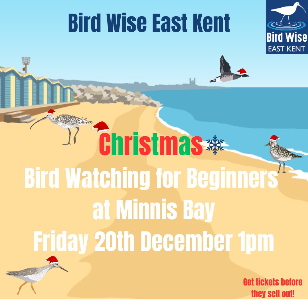 Want to learn more about birds? Want help identifying them? Interested in a festive walk?
Then come along to our FREE Birdwatching for Beginners walk at Minnis Bay. 

Book Here…
eventbrite.com/e/christmas-bi…