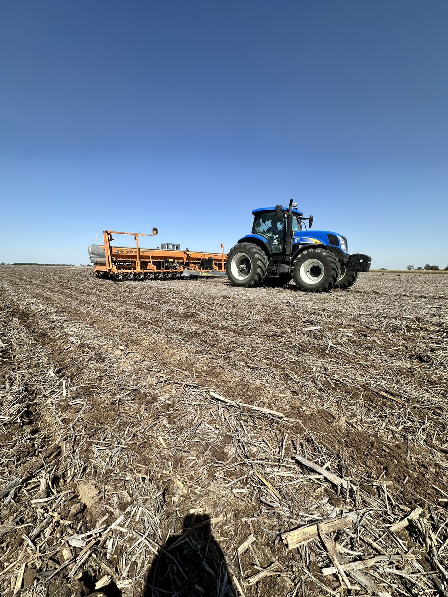 nardienzo1's tweet photo. 🌽Encarando los últimos días de siembra🌱 https://t.co/i3lqYb3fGP