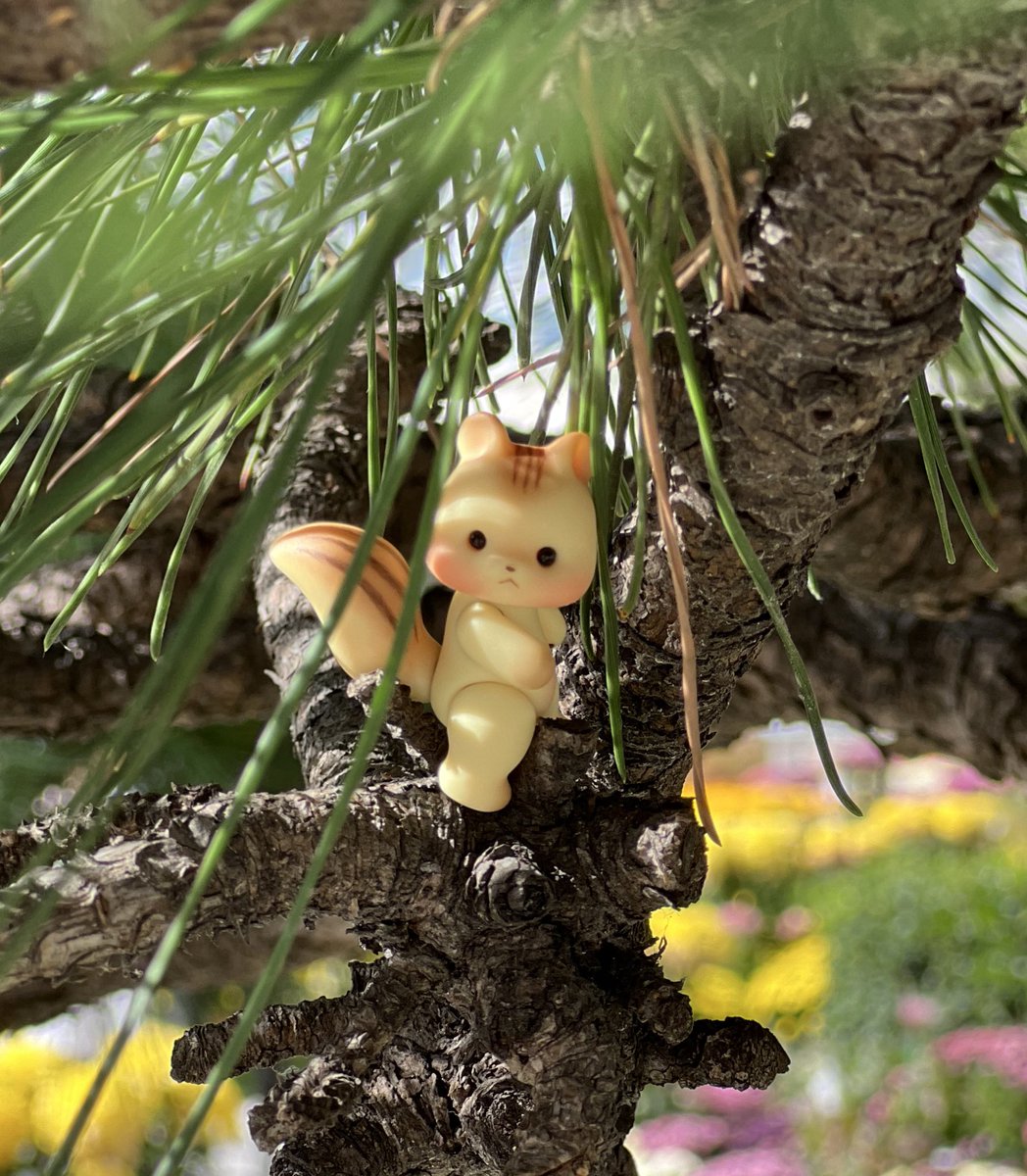 넘나 기쁜소식에 이벤트 갑니다!!
Rt+팔로우 한분에게 카라멜 나라미 한체를 보내드립니다!!
당첨 발표는 12월 21일에 하겠습니다!!
#맘마샵 #mammashop