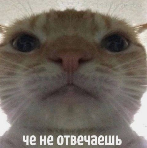 Вайлери💎 (@marvilired) on Twitter photo 