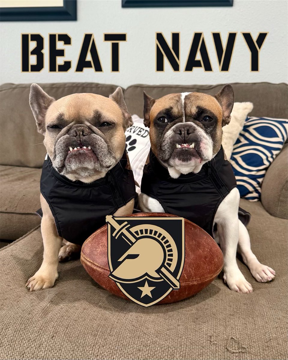 frenchieapollo's tweet photo. Beat Navy! Apollo and Artemis are ready for the big game, are you? #ArmyNavyGame https://t.co/PS1vZwE9yg