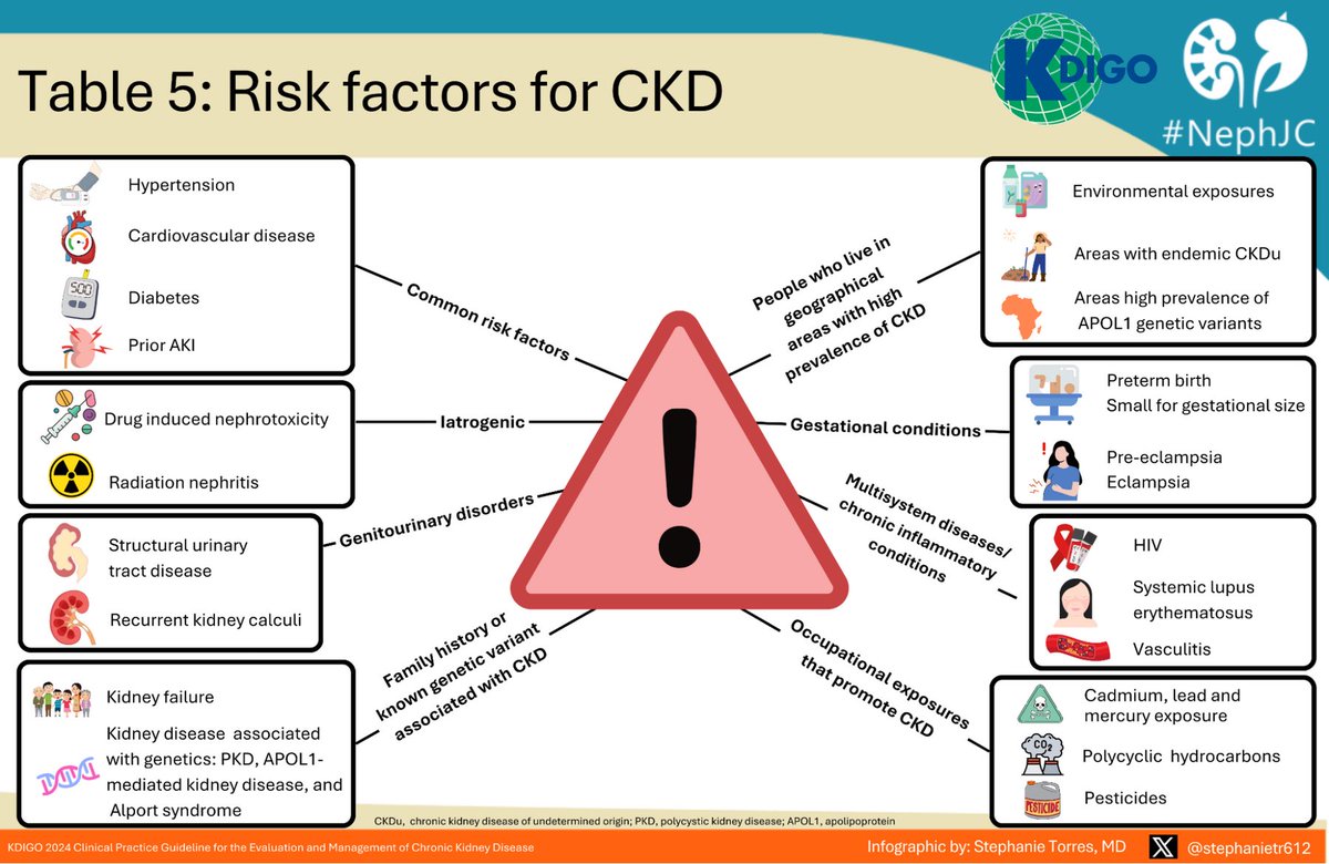 Elba Medina (@elbaonelida) on Twitter photo 🔥Risk factors for CKD <a href="/goKDIGO/">KDIGO</a> <a href="/NephJC/">Nephrology Journal Club</a> #KDIGO2024 by <a href="/stephanietr612/">Stephanie Torres M.D.</a> 🔥Risk factors for CKD <a href="/goKDIGO/">KDIGO</a> <a href="/NephJC/">Nephrology Journal Club</a> #KDIGO2024 by <a href="/stephanietr612/">Stephanie Torres M.D.</a>
