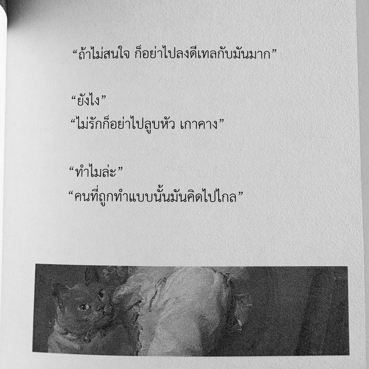 ทริกซีโตะ tweet media