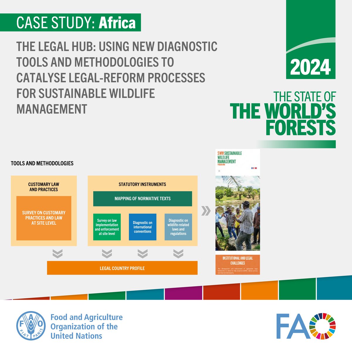 FAOForestry's tweet photo. Read a State of the World’s Forests 2024 case study:

Africa: The legal hub: using new diagnostic tools and methodologies to catalyse legal-reform processes for sustainable wildlife management

👉 https://t.co/CuqoPzbyku

#SWMProgramme #SOFO2024

@Cirad @CIFOR-ICRAF @TheWCS https://t.co/0x07aMx8sF