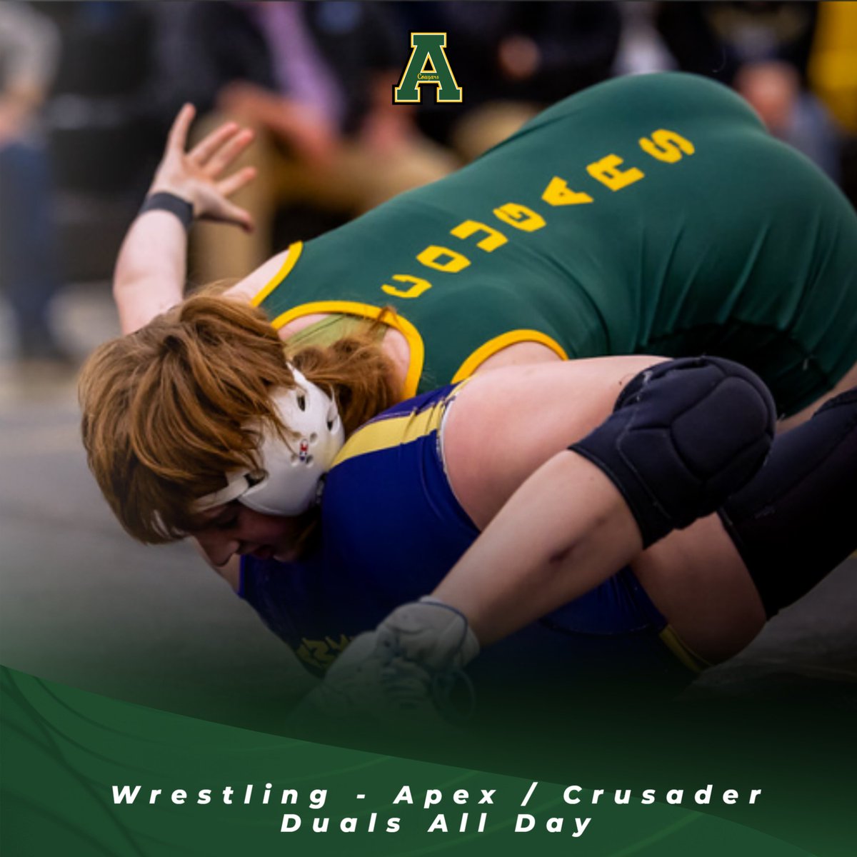 Apex Cougar Club (@apexcougarclub) on Twitter photo Wrestling - Apex / Crusader Duals All Day, let's go cougars!! @apex_high_school <a href="/apexhsathletics/">Apex Athletics</a> @tim_ts_images Wrestling - Apex / Crusader Duals All Day, let's go cougars!! @apex_high_school <a href="/apexhsathletics/">Apex Athletics</a> @tim_ts_images