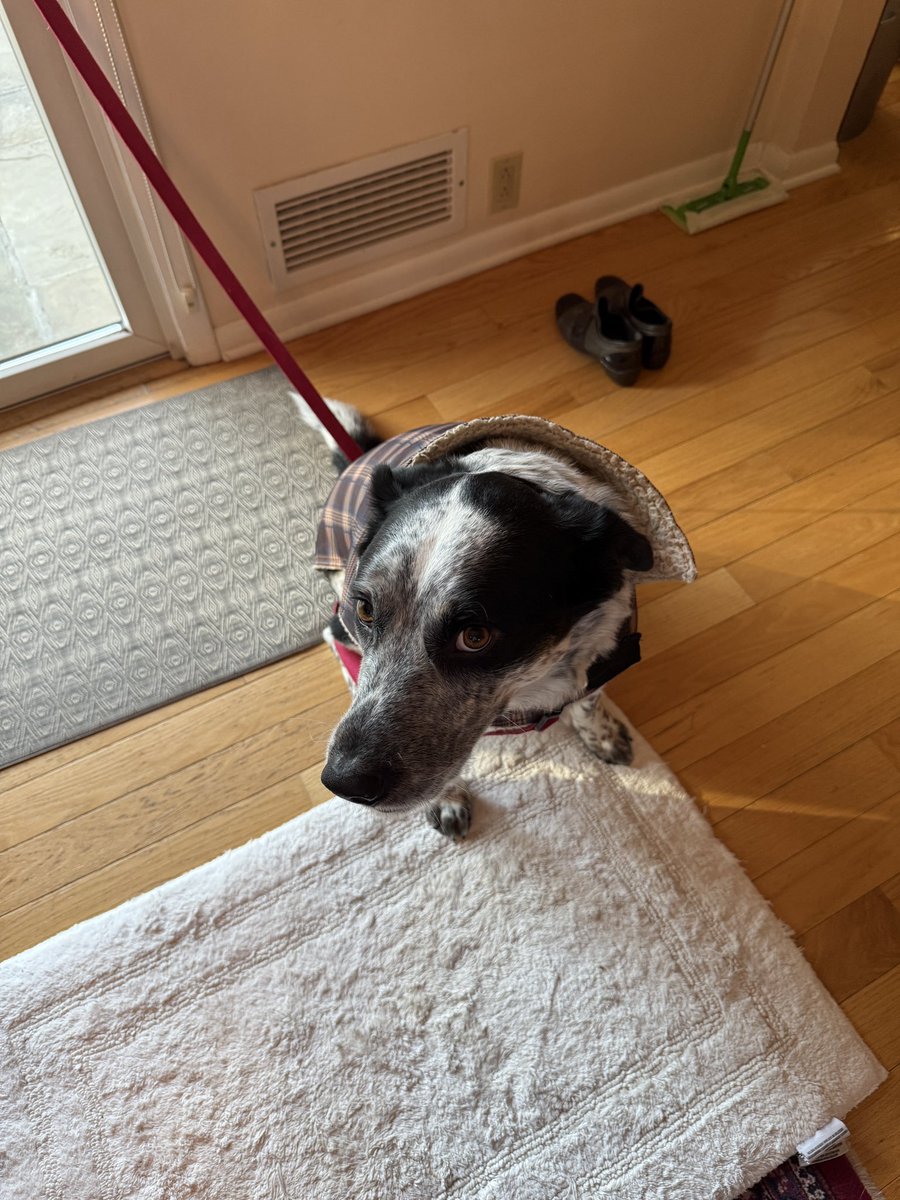 Jihoz.ron tweet media