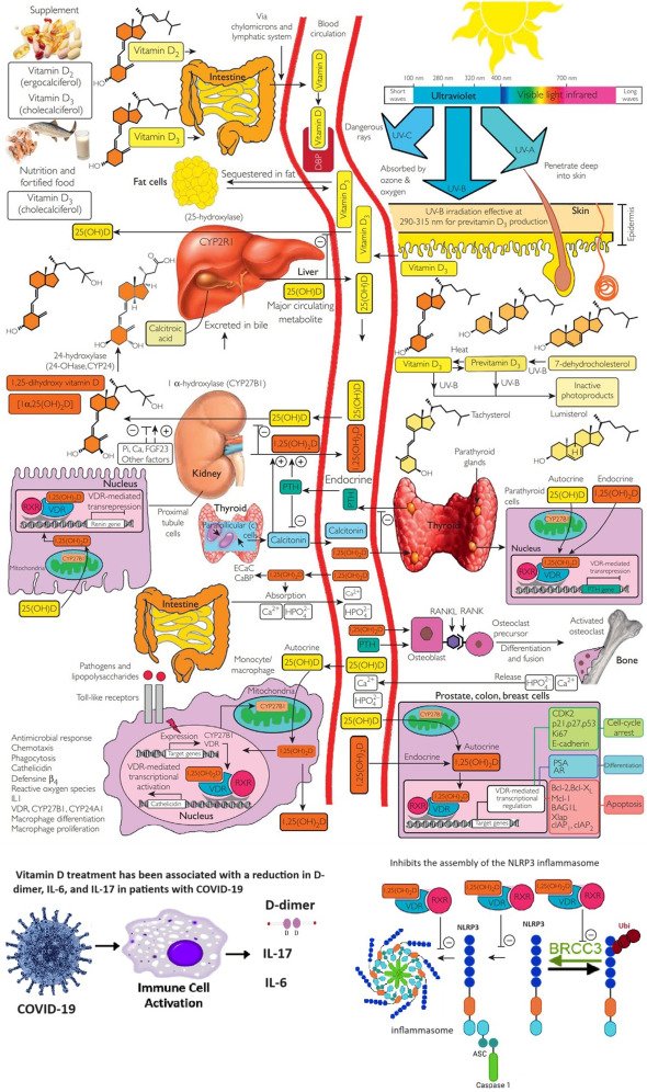SEMERGEN | Médicos de AP tweet media