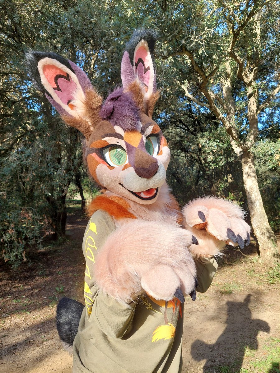 tomacats_suits's tweet photo. Say hi to West, the black tailed hare! 🐇🌵

This handsome rabbit debuted at MFF! 🦝

West is a partial fursuit, with magnetic eyelids, extra tongues &amp; very BIG ears! ✨

We hope you like him! 🥺

Videos coming up soon after the convention! 📹 https://t.co/8VIBb3CoEh