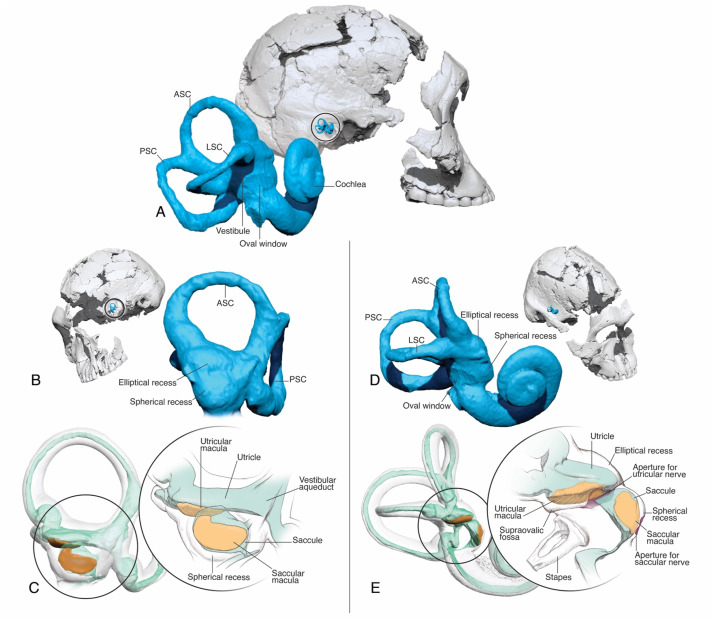 Christopher M. Smith tweet media