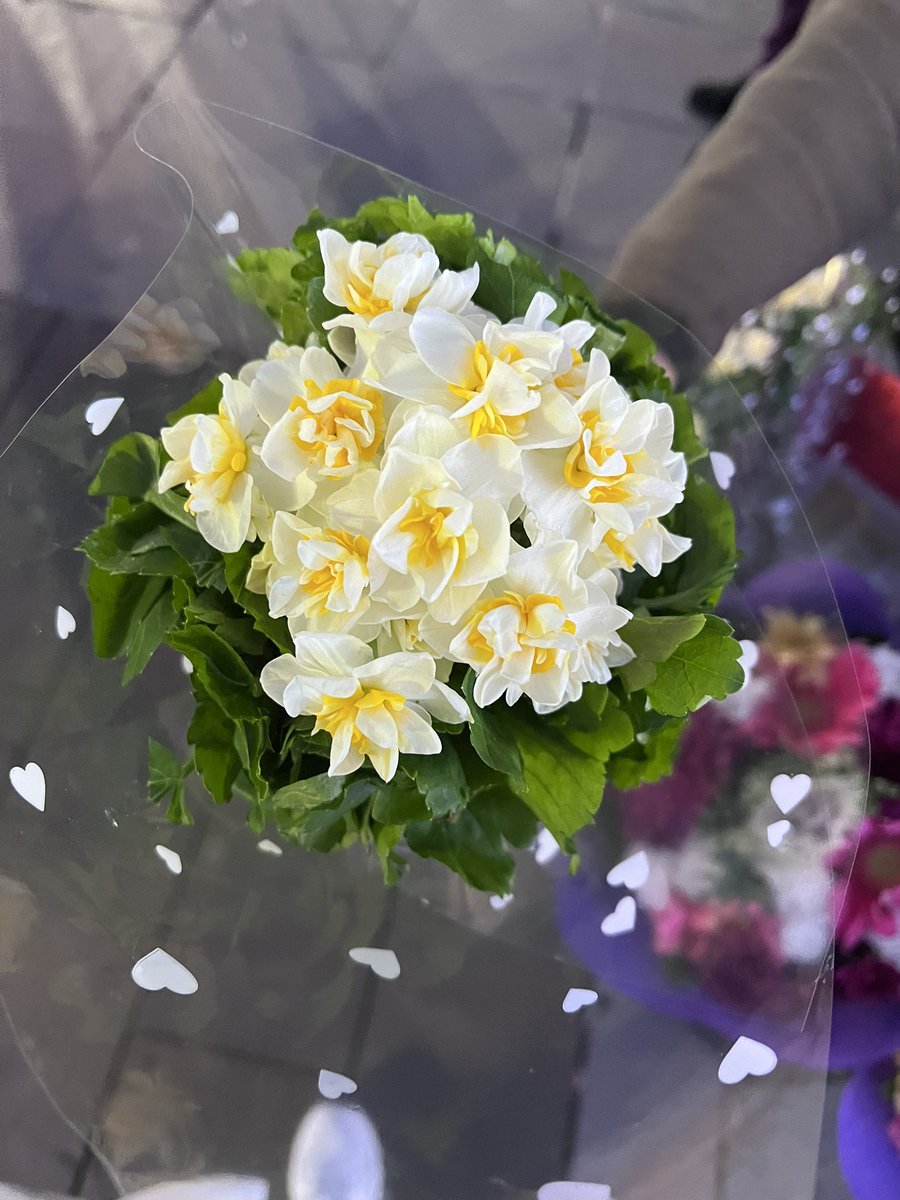 tugce_dasdan's tweet photo. Aralıkta kadınlar ikiye ayrılır nergis sevenler kokina sevenler benimt tercihim görüldüğü üzere 💛 https://t.co/bIdjmyNFFH