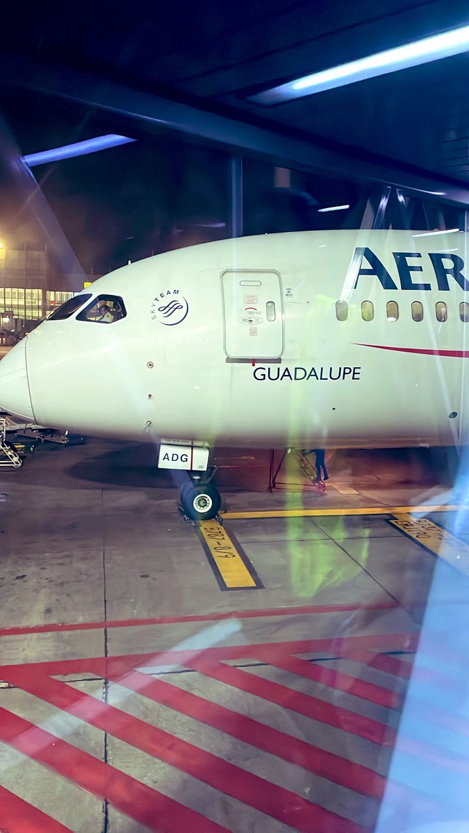 ¡Gracias <a href="/Aeromexico/">Aeroméxico</a> por el excelente servicio y atención del personal de cabina AM04 12.12.2024!