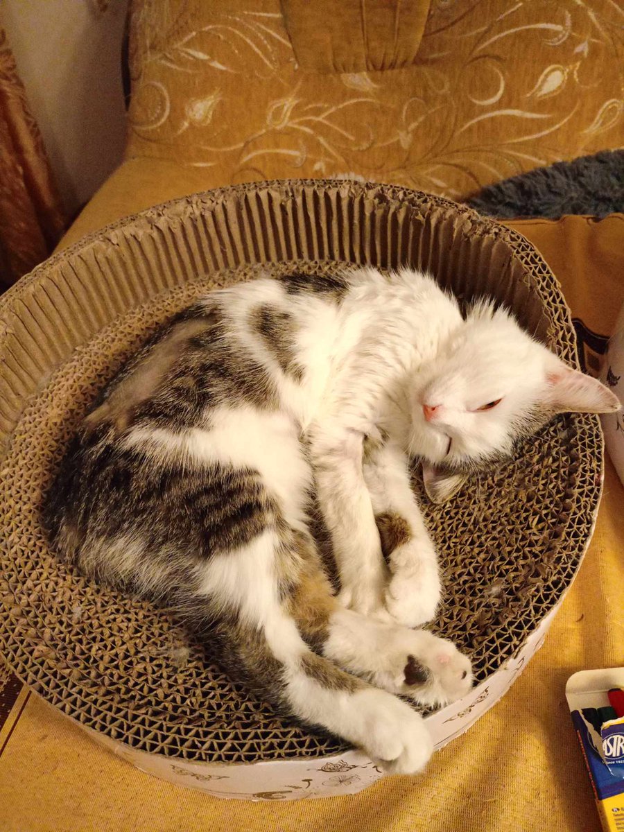 Czy ktoś dorzuci 16 zł?

pomagam.pl/marzeniemajecz…