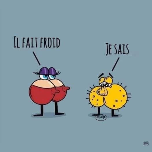 23ID5's tweet photo. C'est con, mais ça m'a fait marrer 🤣🤣! https://t.co/yA4LhnLoX4