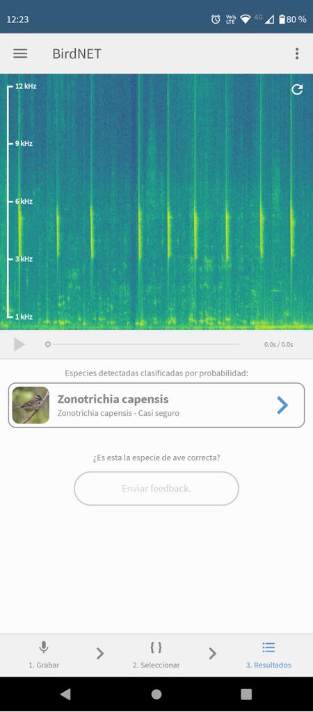 federicogazaba's tweet image. Sumamos el #chingolo a la lista de detectados. #birdNET #pergamino
