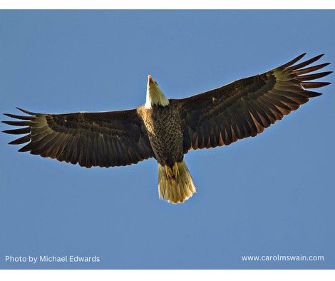 carolmswain's tweet image. I love ❤️ these verses from Isaiah:

Do you not know? Have you not heard?
The Lord is the everlasting God,the Creator of the ends of the earth. He will not grow tired or weary, and his understanding no one can fathom.

He gives strength to the weary and increases the power of the…