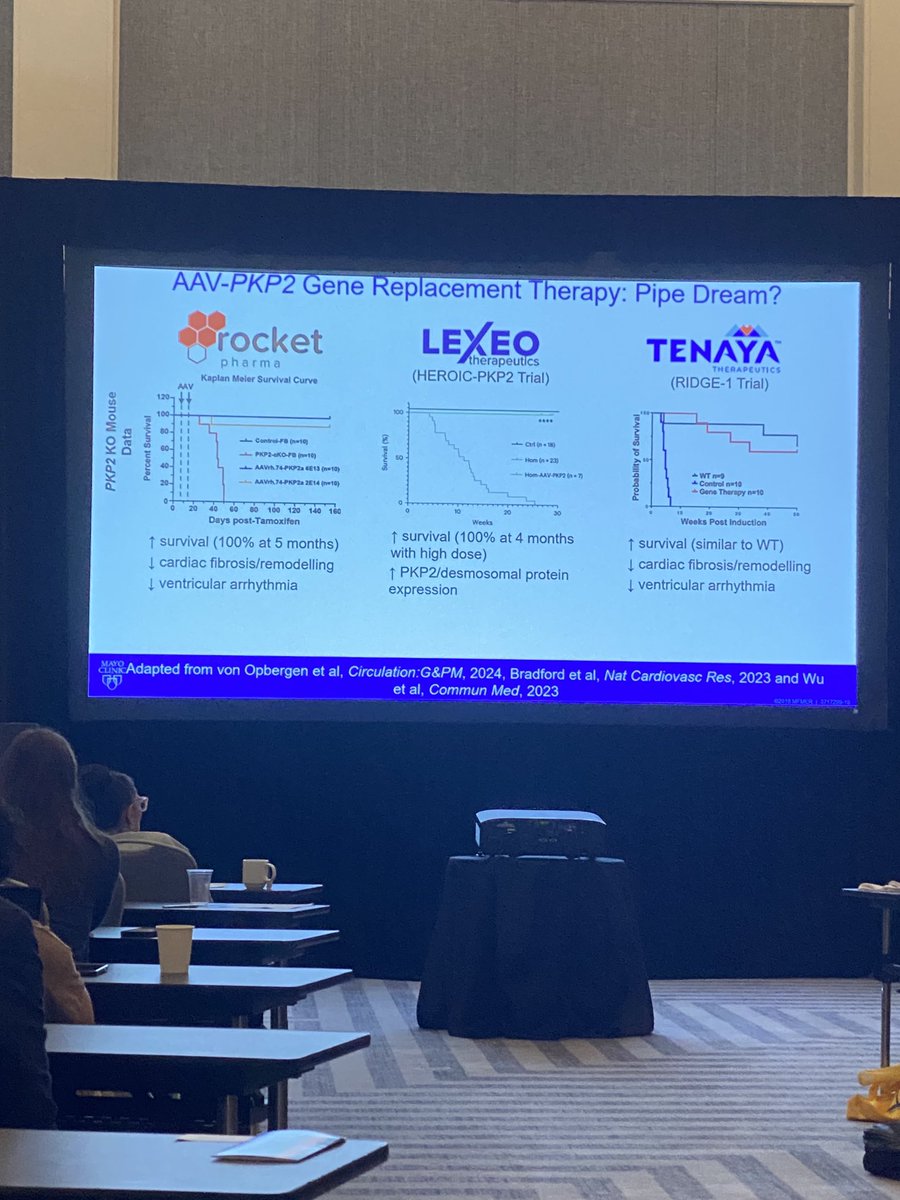 Michael J. Ackerman MD,PhD (@mjackermanmdphd) on Twitter photo And the final talk from <a href="/JohnGiudicessi/">John Giudicessi MD, PhD</a> on #gene #therapy for our #genetic #heart #diseases. Masterful presentation. After 3 days & 28 presentations & outside temp of 80 degrees here in Puerto Rico 🇵🇷, the room is still full <a href="/MayoClinicCV/">Mayo Clinic CV</a> course. Incredible 🤗 And the final talk from <a href="/JohnGiudicessi/">John Giudicessi MD, PhD</a> on #gene #therapy for our #genetic #heart #diseases. Masterful presentation. After 3 days & 28 presentations & outside temp of 80 degrees here in Puerto Rico 🇵🇷, the room is still full <a href="/MayoClinicCV/">Mayo Clinic CV</a> course. Incredible 🤗