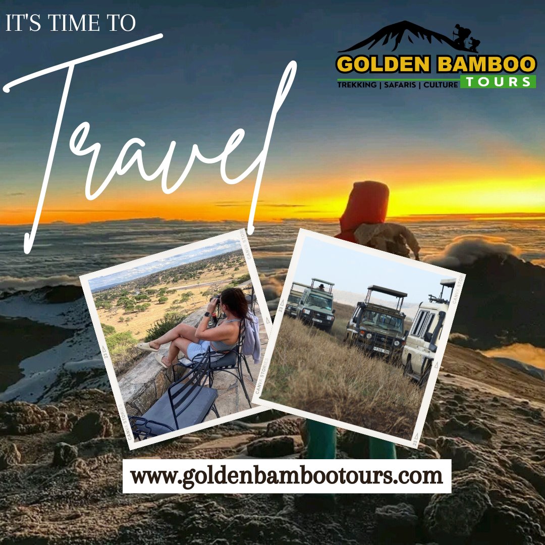Do you have plans for a Tanzania safari in 2025? Great news! Golden Bamboo Tours is excited to announce that bookings for Tanzania safaris in 2025 are now open. Secure your spot early by making your reservation today. 
🌐 goldenbambootours.com 
 📧 info@goldenbambootours.com