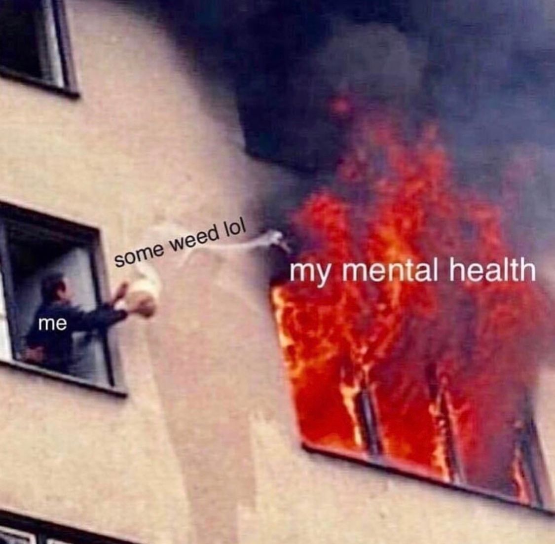 WeedPorns's tweet image. 