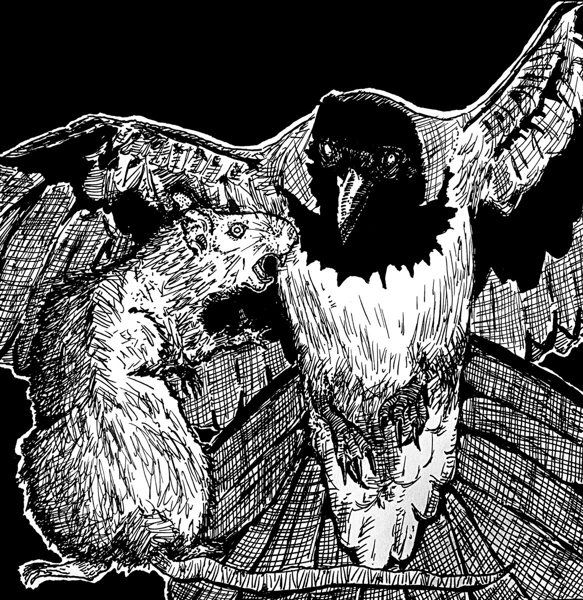 LonelyBirdRecs's tweet photo. An Exercise in Compatibility, the new split EP from King Rat and Hetareee, will be available to stream on 1/2/24

You can catch King Rat on tour w/ Penny Dog and Precious Little Life from 1/2-1/4 &amp; 1/9-/12. 

CDs and Tapes will be available for pre-order soon <3 https://t.co/JOSBbA0NK4