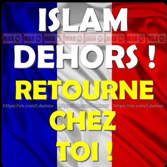 Alexandre BEAUQUENNE 🇫🇷 🇧🇷 tweet media