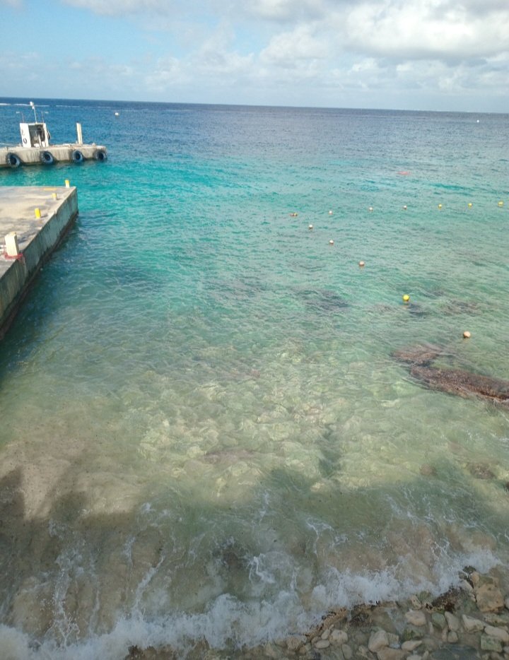 AnotherOneForMe's tweet photo. vou dar um rolê de submarino hoje com uma empresa que do nada fez um precinho ótimo 🥰

thank you, @/watergate https://t.co/kUughIO2qu