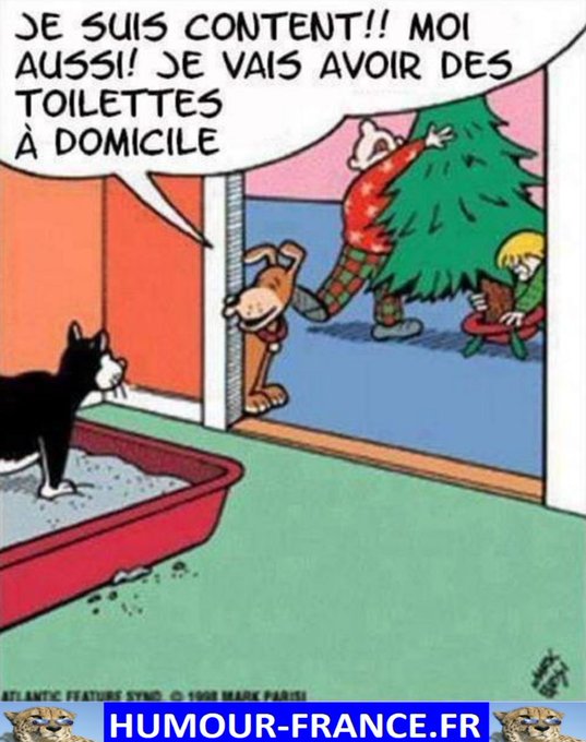 text alternatif