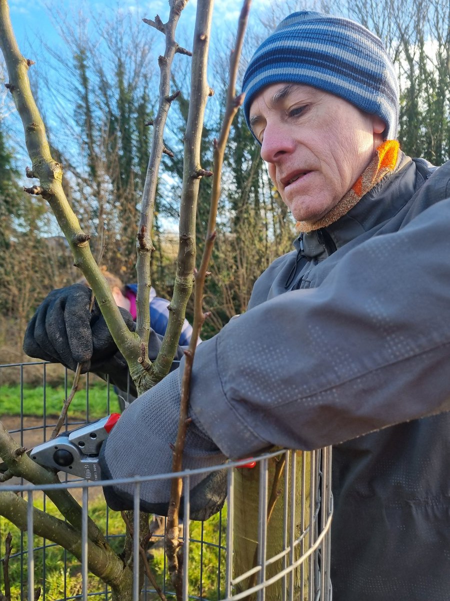 fruitnutvillage's tweet image. Today we ran our annual #FruitTree #WinterPruning workshop at #KingdomForestGarden #Stirchley. If you missed it there'll be plenty more opportunities to prune with us over the coming months... including in #DruidsHeath and #BalsallHeath