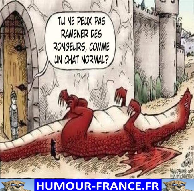 text alternatif