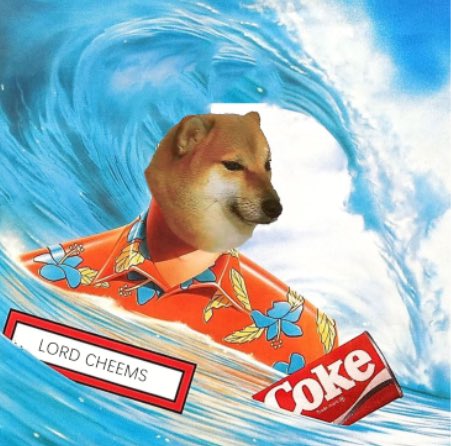 LordCheems_bsc's tweet photo. Showing of the skills 🌊 - Surfer Cheems

#CheemsBSC #CheemsArmy $Cheems https://t.co/Tqow4bczYq