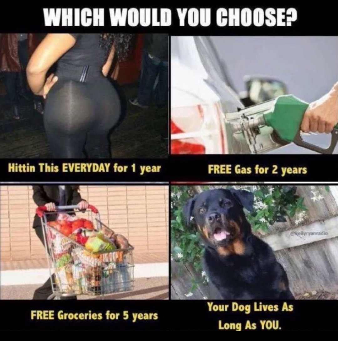 PintoGwayne's tweet photo. Which would you choose? No judgement, lol https://t.co/sUrUvOn1IK