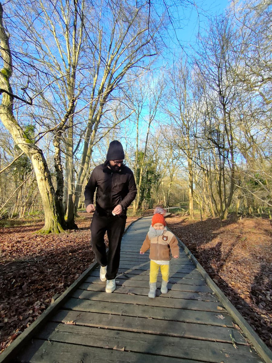 My Dan and Alma over Hatfield Forest today. She’s in her element there . Beautiful forest
