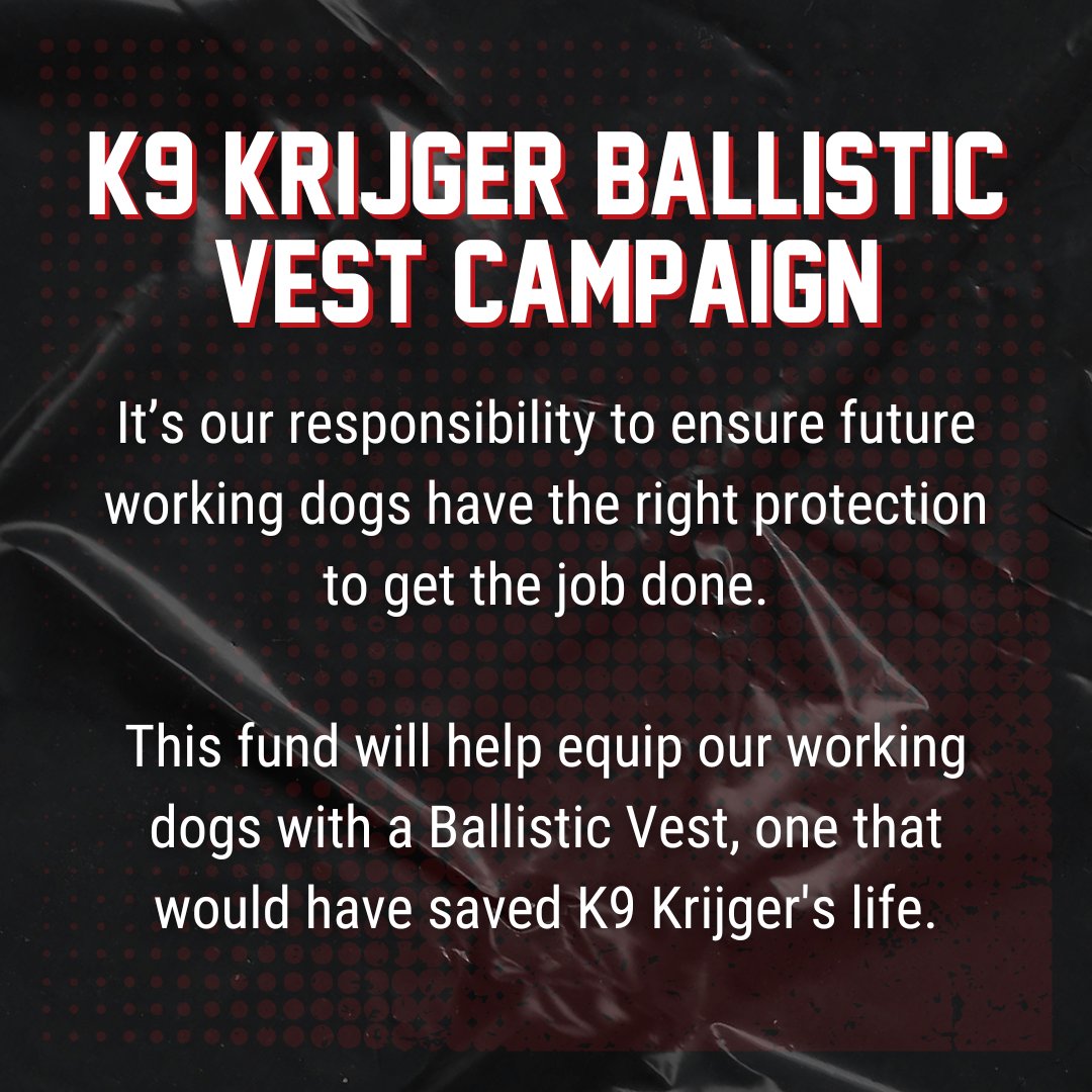 Spikesk9fund's tweet image. 🐺 Meet #K9Krijger – the namesake of our #BallisticVest Campaign.

K9 Krijger gave his all to keep us safe, making the ultimate sacrifice on Jan 11, 2016. This campaign provides life-saving vests for working dogs, each bearing his service number, K-148.

Help us carry on the
