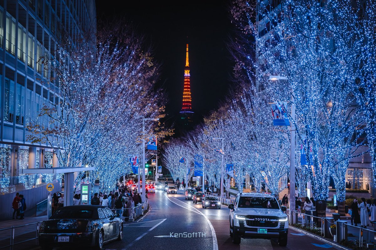 国際学会 (IEEE VCIP2024) のバッジに私の写真が採用されたことを大変光栄に思います 😁