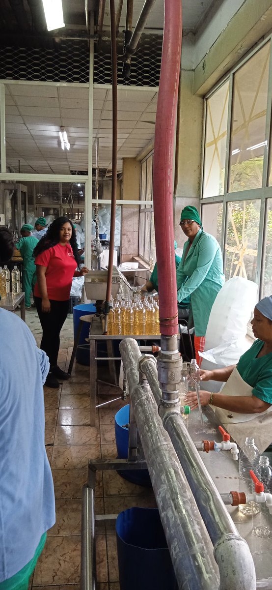 Desde bien temprano trabajadores de <a href="/EmberLaHabana/">Empresa de Bebidas y Refrescos La Habana</a> trabajan en el envasado del ron destinado a la entrega por núcleos familiares este fin de año. Honrar el compromiso con nuestro pueblo, es la premisa que nos guía y unidos lo lograremos.
<a href="/geiacuba/">Grupo Empresarial de la Industria Alimentaria</a> 
#AlimentariaPorCuba
#MinalXCuba