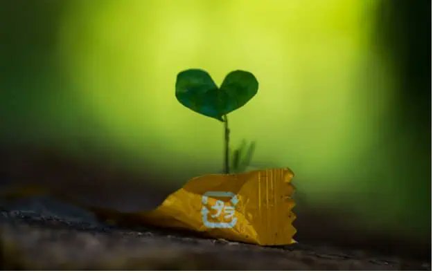 dependopolis's tweet image. 🌐 The Digital Rebirth has arrived! From cutting emissions to enhancing biodiversity, tech is our ally. Dive into my latest blog post to discover how we can &quot;Plug into a Greener Future&quot; together! #DigitalRebirth #SustainableTech
dependopolis.com/the-digital-re…