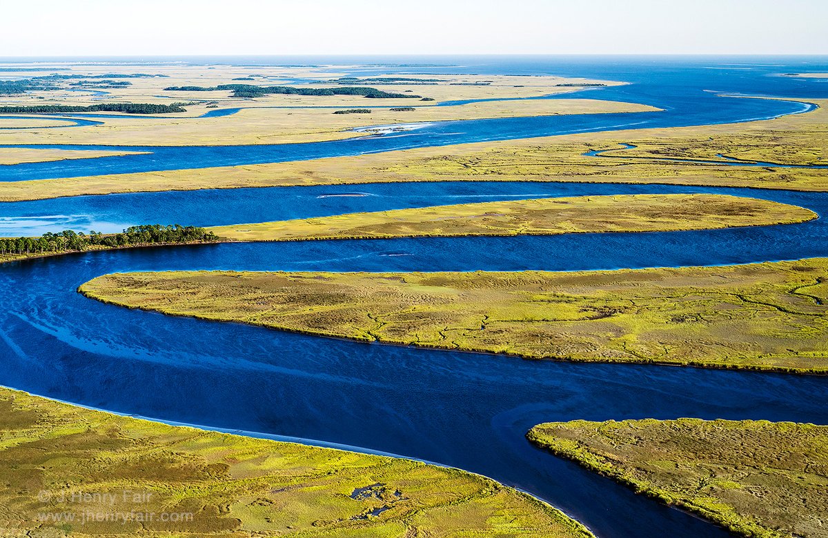 JHenryFair's tweet image. Ashepoo, Combahee, and Edisto Rivers.
So many thanks to the Conservation League for helping to save these places.
Any purchase of one of these goes to support The Conservation League.
jhenryfair.com/scccl
#Holdiaygifts #countourblessings #itsuptoyou #timetoact #thetimeisnow