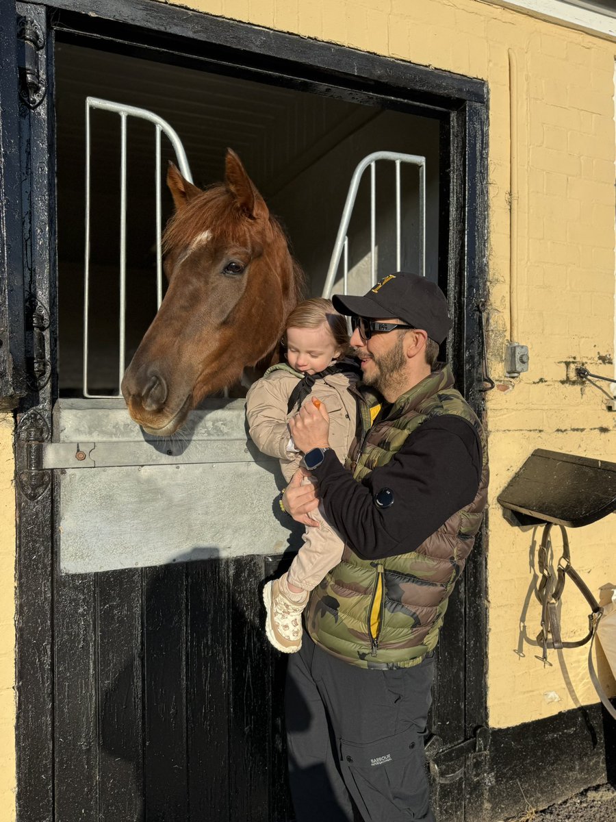 SteveeJohnstone's tweet photo. Morning visit to see Rose Cotton back from her holidays! 💛🖤 

@HasmoneanRacing @tomcloverracing https://t.co/TRjk6vsT8a