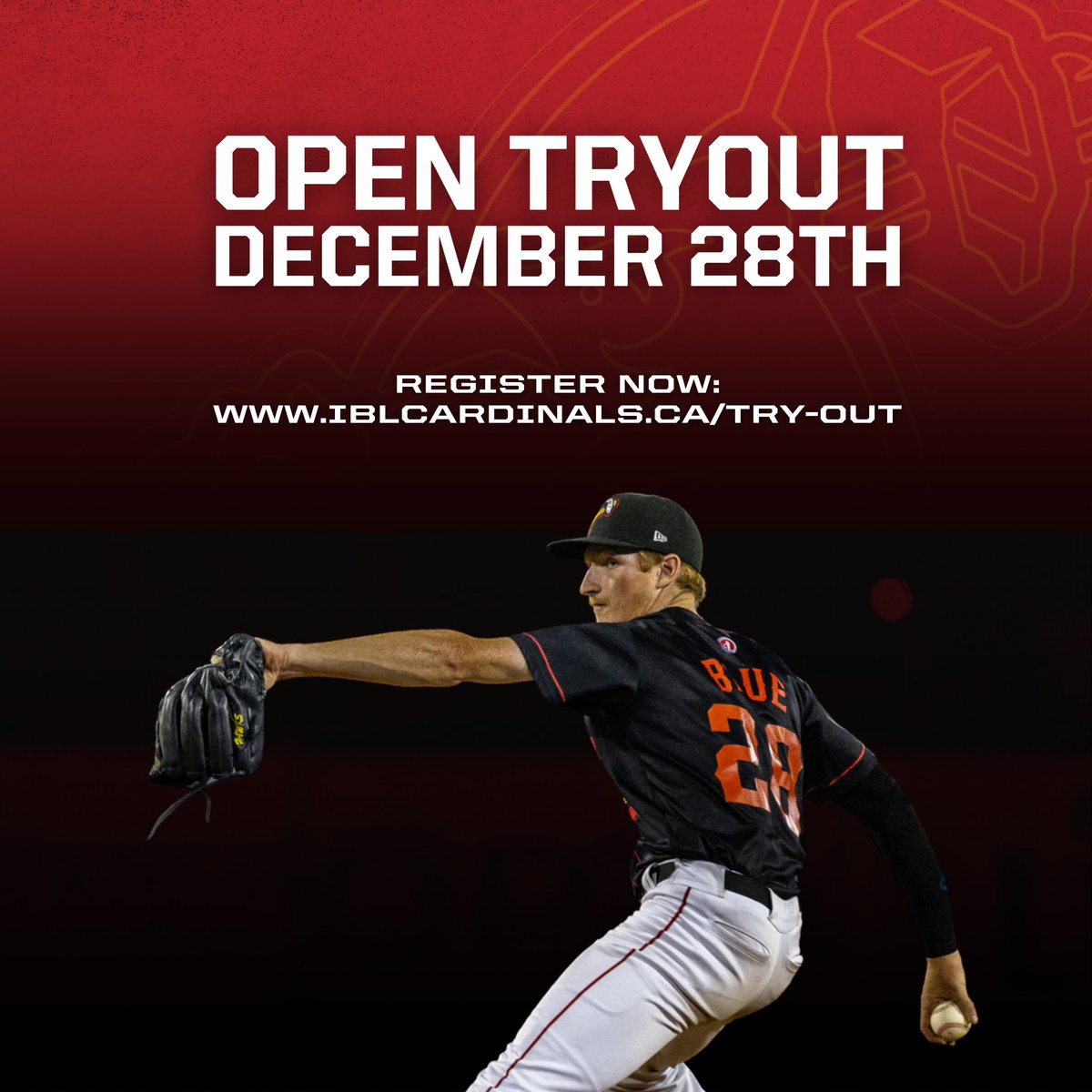HamCardinalsCBL's tweet image. Open try out at StrikeZone - Dec 28 at 8 PM. Players 19+ invited to try out for Hamilton Cardinals (IBL) &amp;amp; Jr. Cardinals (22U).

💲 $20 Fee (reimbursed if selected)
🎯 TrackMan for pitchers
⚾ Full evals for all players

🎟️ Reserve now — bit.ly/4ixPmgr