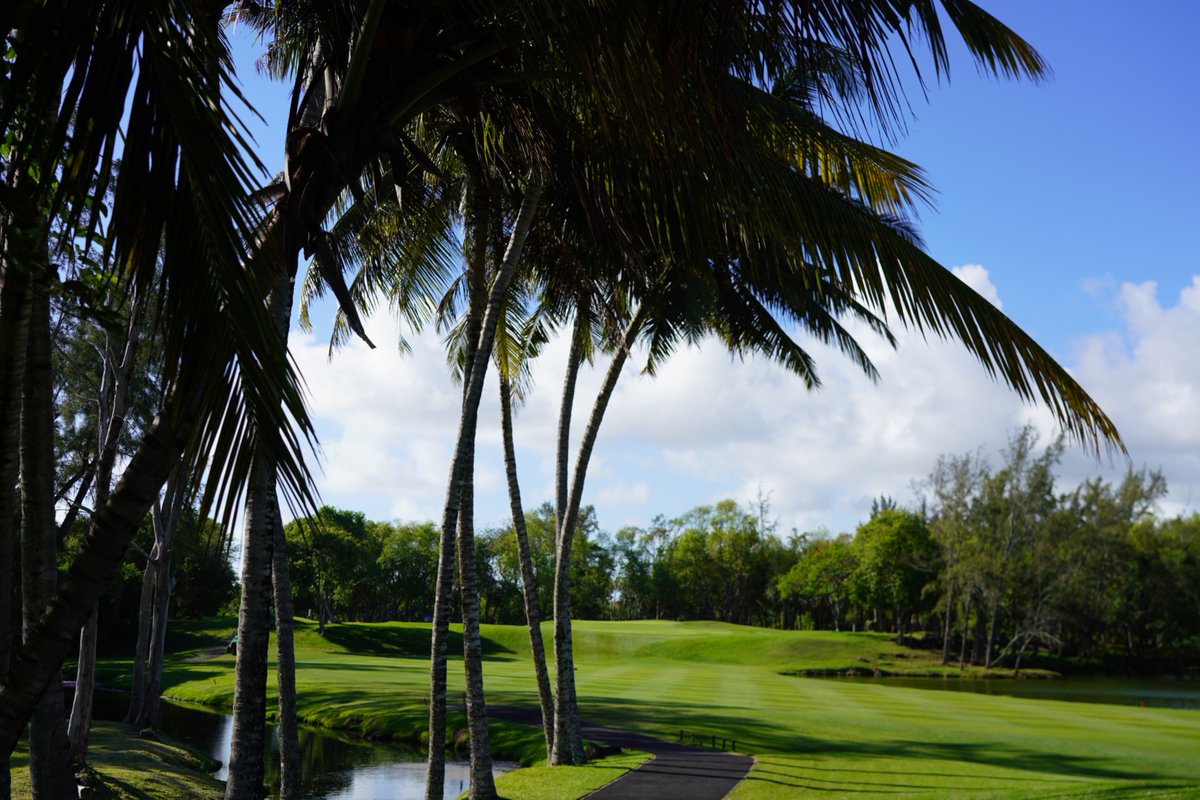 euLegendsTour's tweet image. Who's been getting some pre-Christmas weekend golf in? 🙌⛳🫡

#eulegendstour #Mauritius #WeekendGolf #Golf #GolfCourse #Weekend