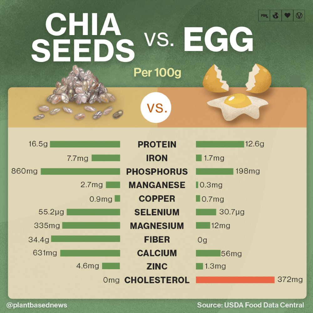 PlantBasedNews's tweet photo. Chia seeds are a well known superfood but who knew they competed so well against eggs? Give us a chia egg in our baking any day 👩‍🍳 🌱 https://t.co/lsGjCZPl9k