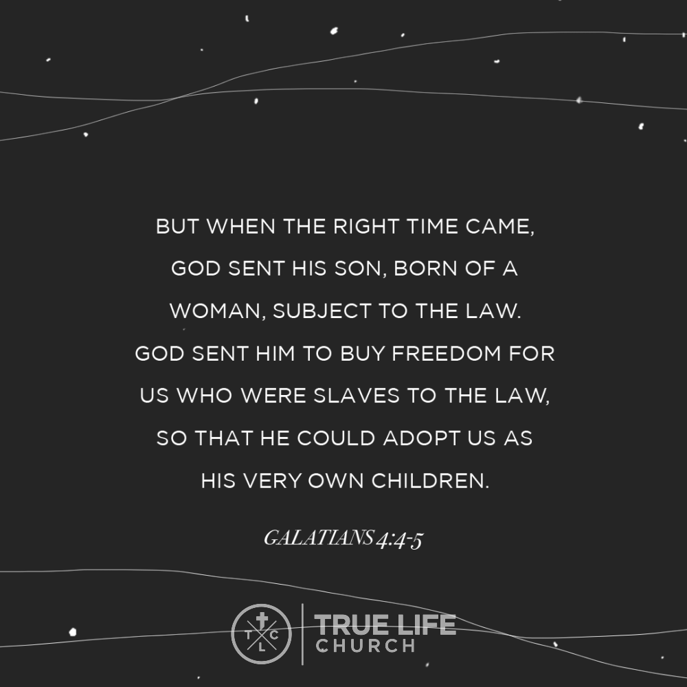 FindTrueLifeCC's tweet image. 