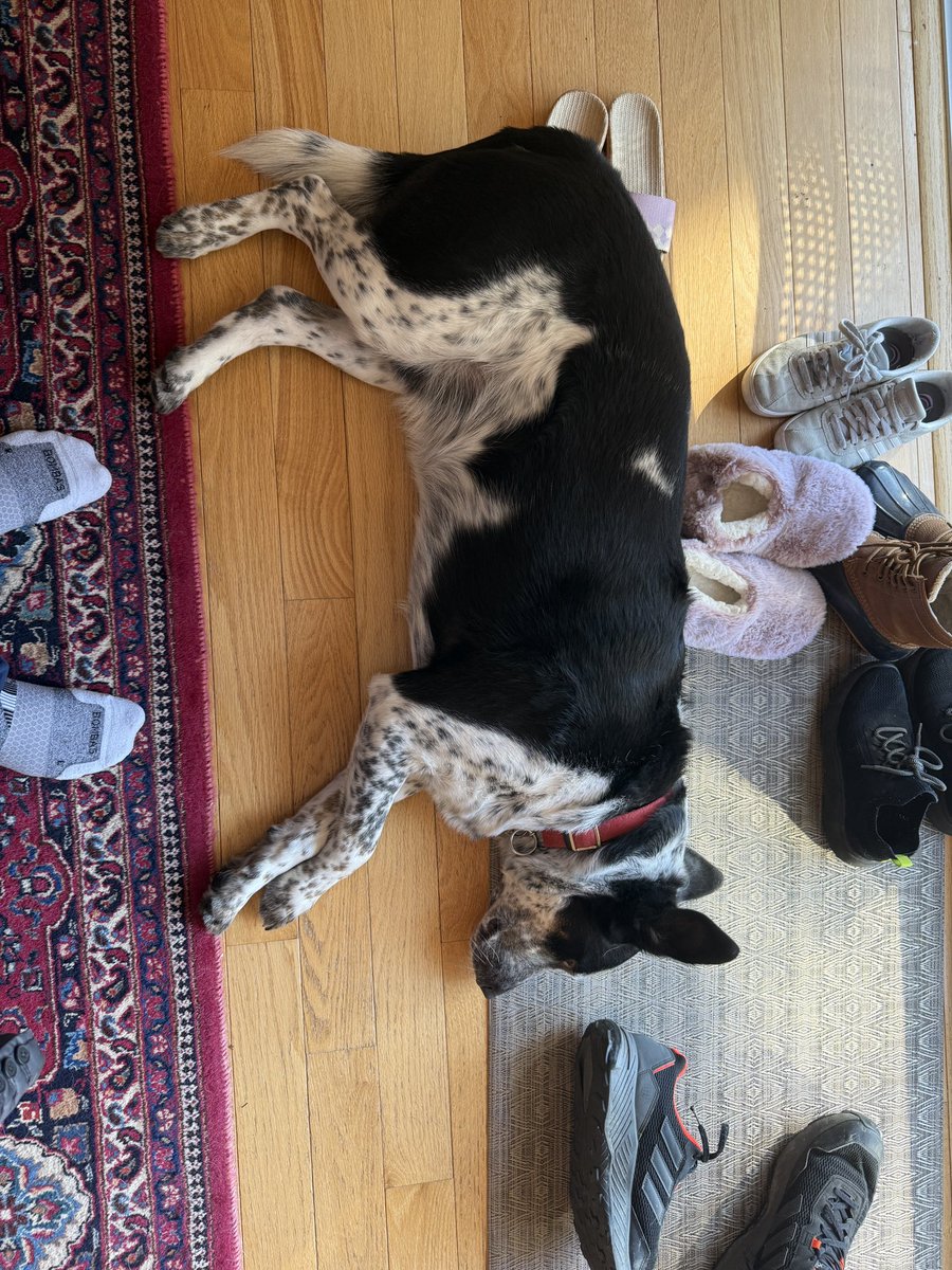 Jihoz.ron tweet media