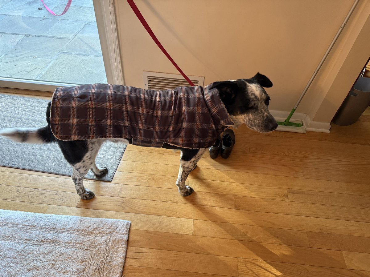 Jihoz.ron tweet media