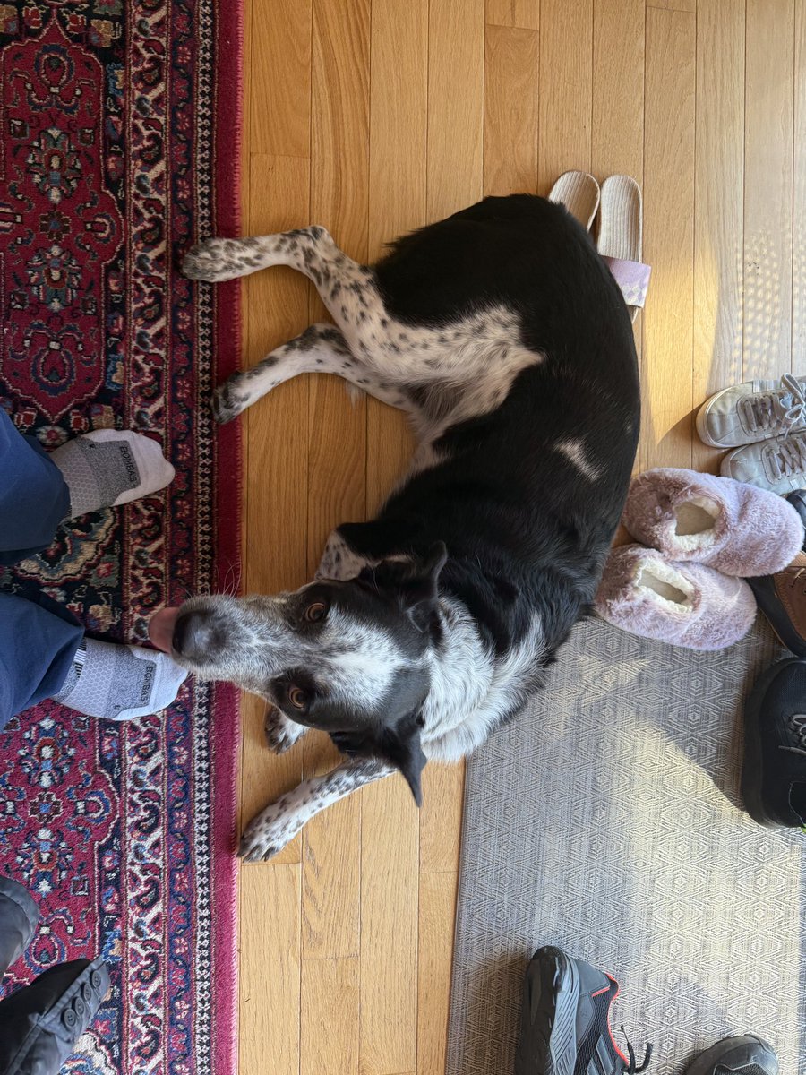 Jihoz.ron tweet media